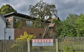 Mahler Penzion